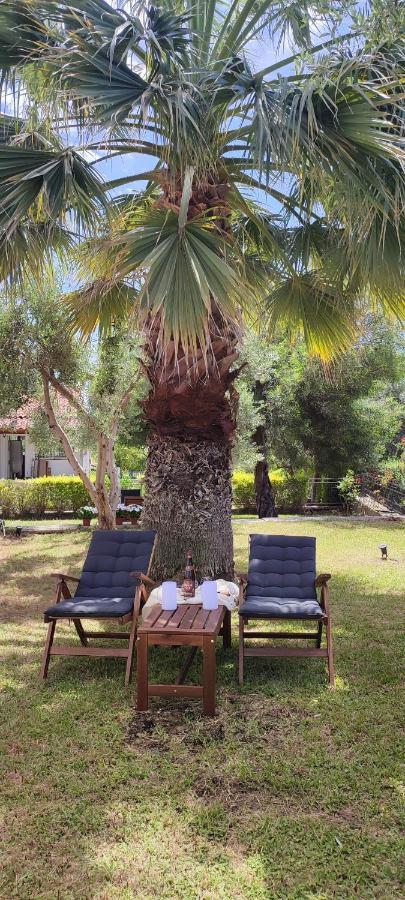 Villa Βianca In Sithonia ゲラキニ エクステリア 写真