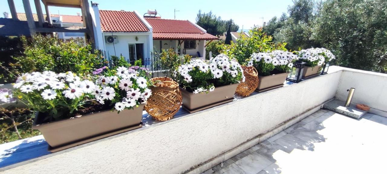 Villa Βianca In Sithonia ゲラキニ エクステリア 写真