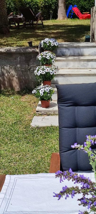 Villa Βianca In Sithonia ゲラキニ エクステリア 写真