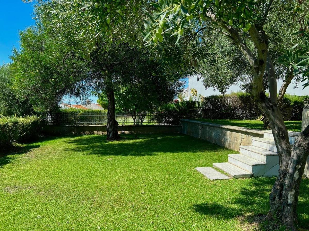 Villa Βianca In Sithonia ゲラキニ エクステリア 写真